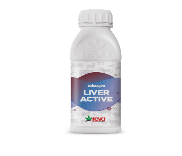 LIVER ACTIVE