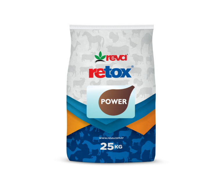 RETOX POWER